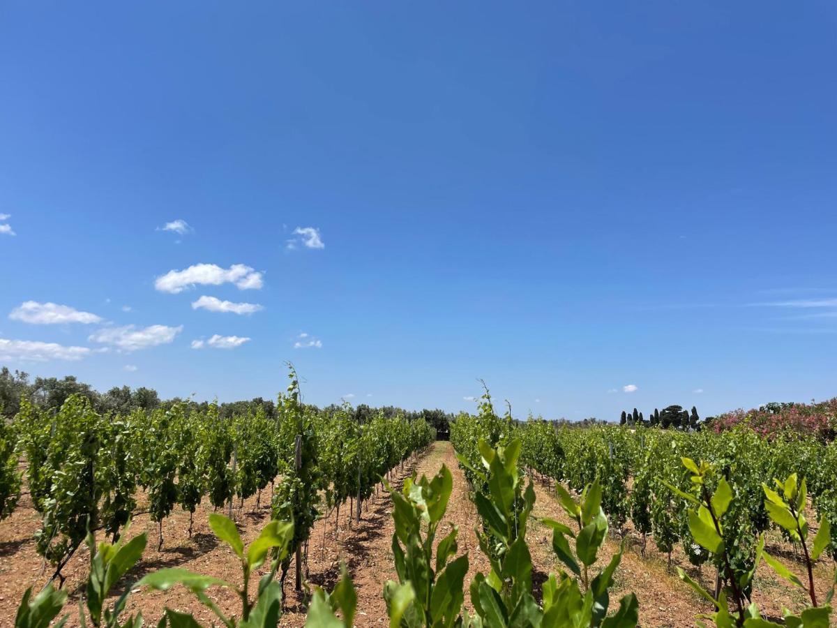 Terra Rossa Country house