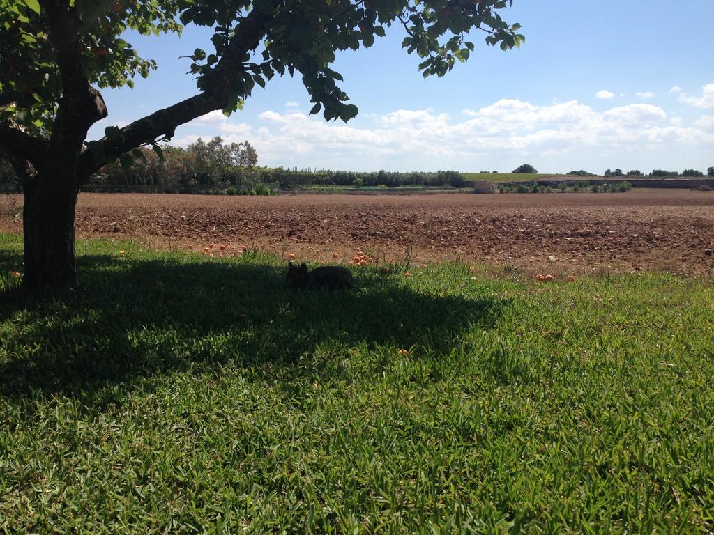 Country house Terra Rossa Otranto
