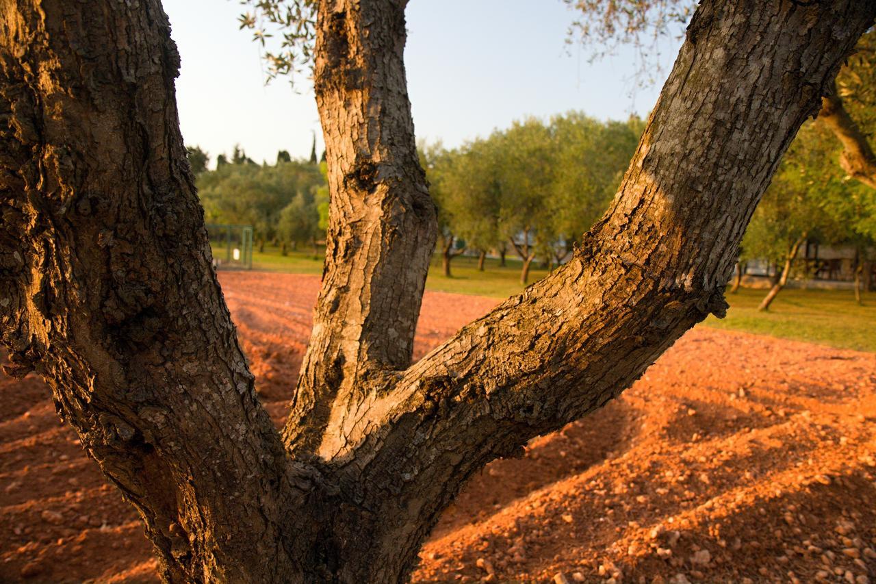 Terra Rossa Country house